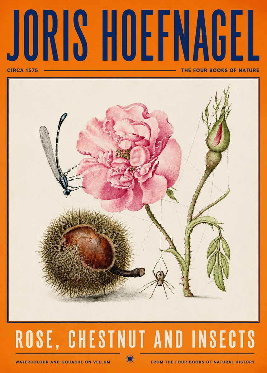 Joris Hoefnagel Rose, Chestnut and Insects No4 - Póster