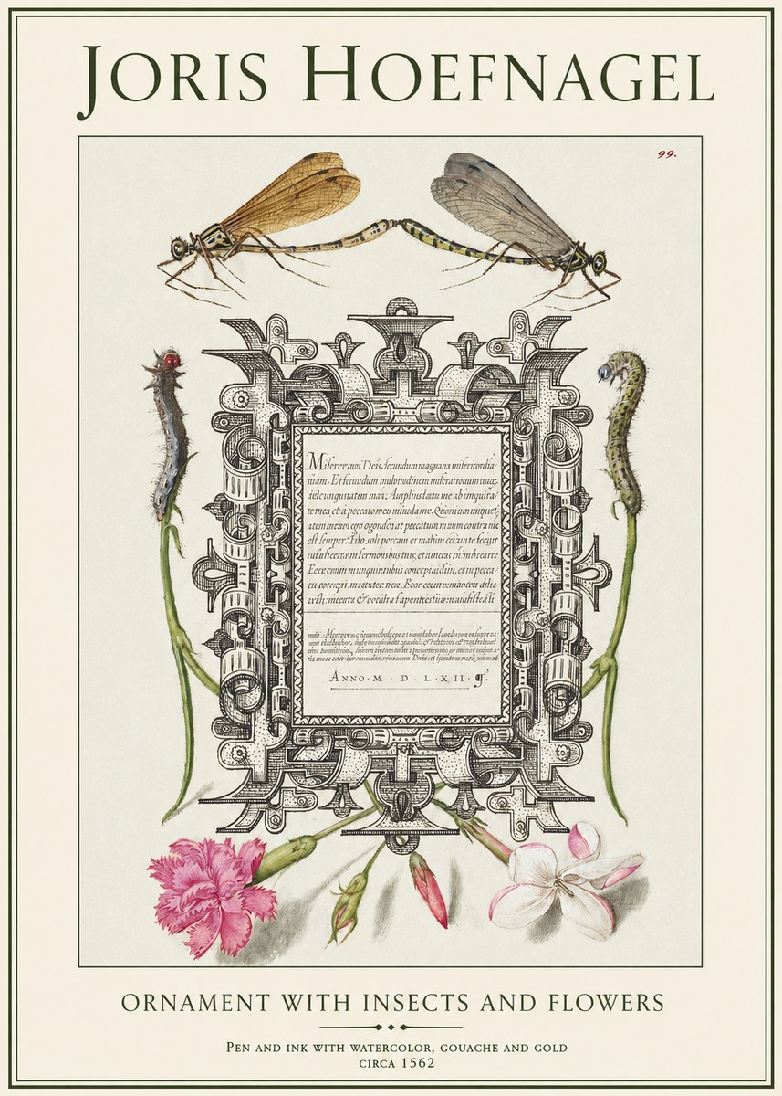 Joris Hoefnagel Ornamental Frame with Damselflies, Caterpillars and Flowers No2 - Póster