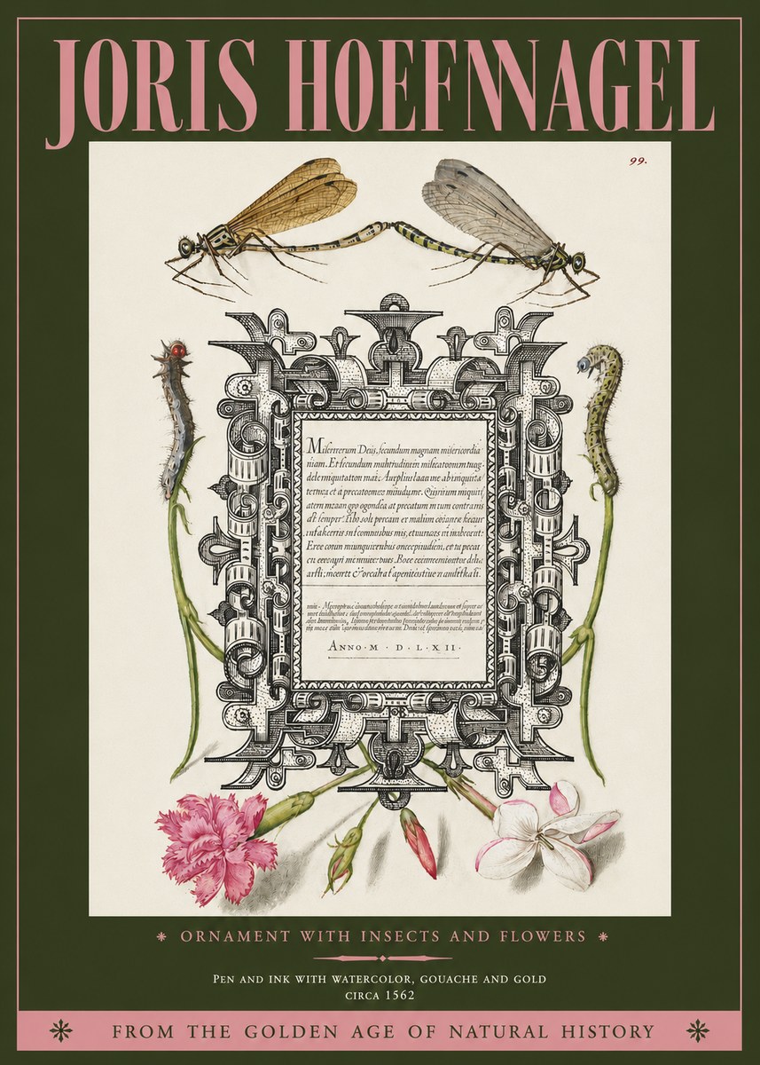 Joris Hoefnagel Ornamental Frame with Damselflies, Caterpillars and Flowers No4 - Póster