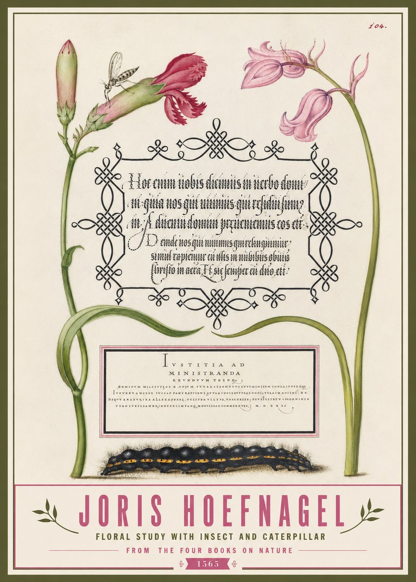 Joris Hoefnagel Floral Study with Insect and Caterpillar No3 - Póster