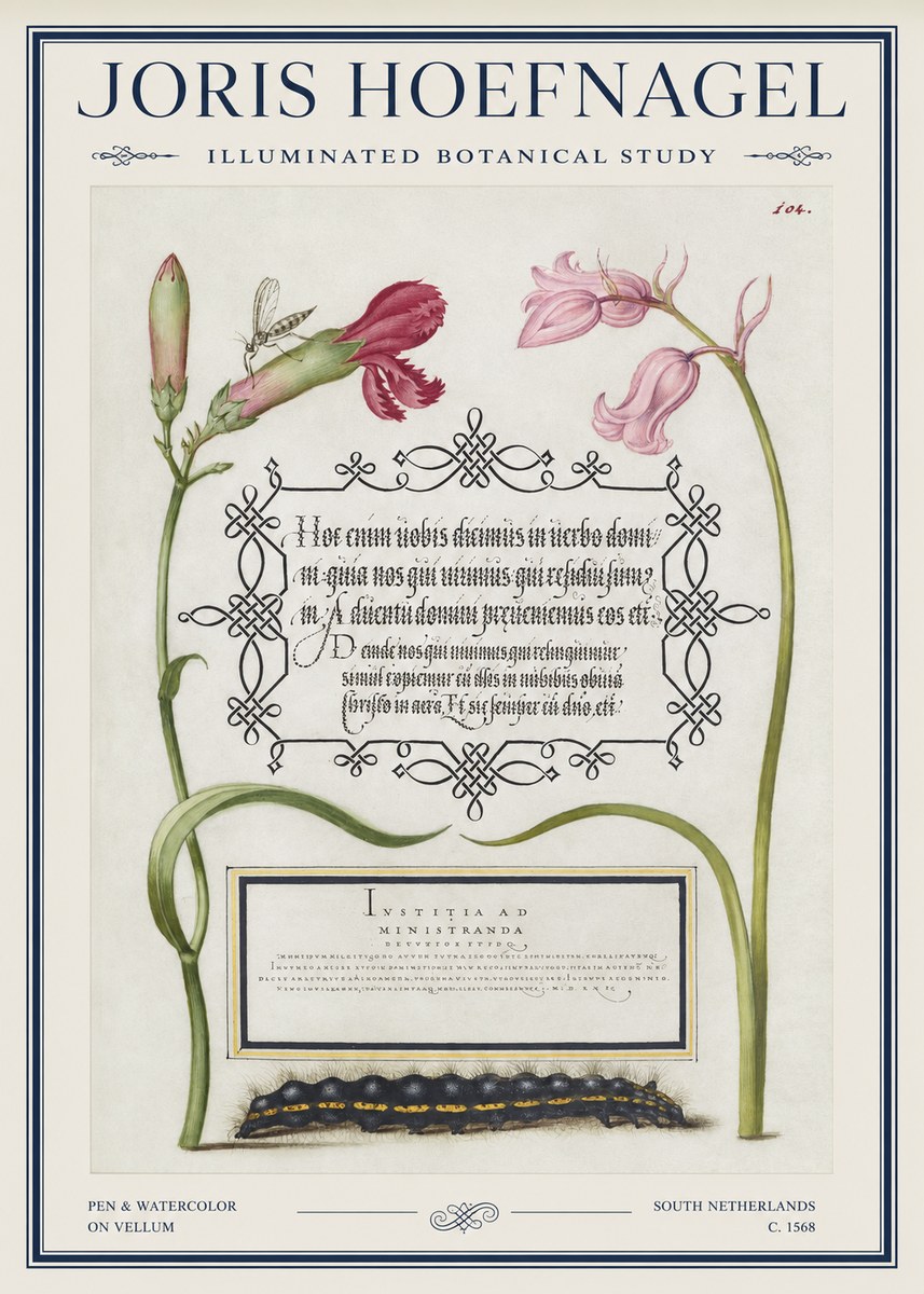Joris Hoefnagel Floral Study with Insect and Caterpillar No5 - Póster