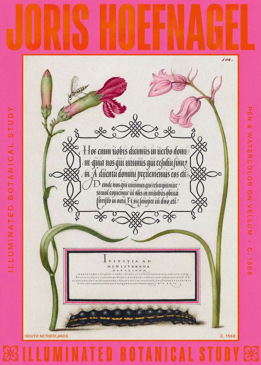 Joris Hoefnagel Floral Study with Insect and Caterpillar No6 - Póster