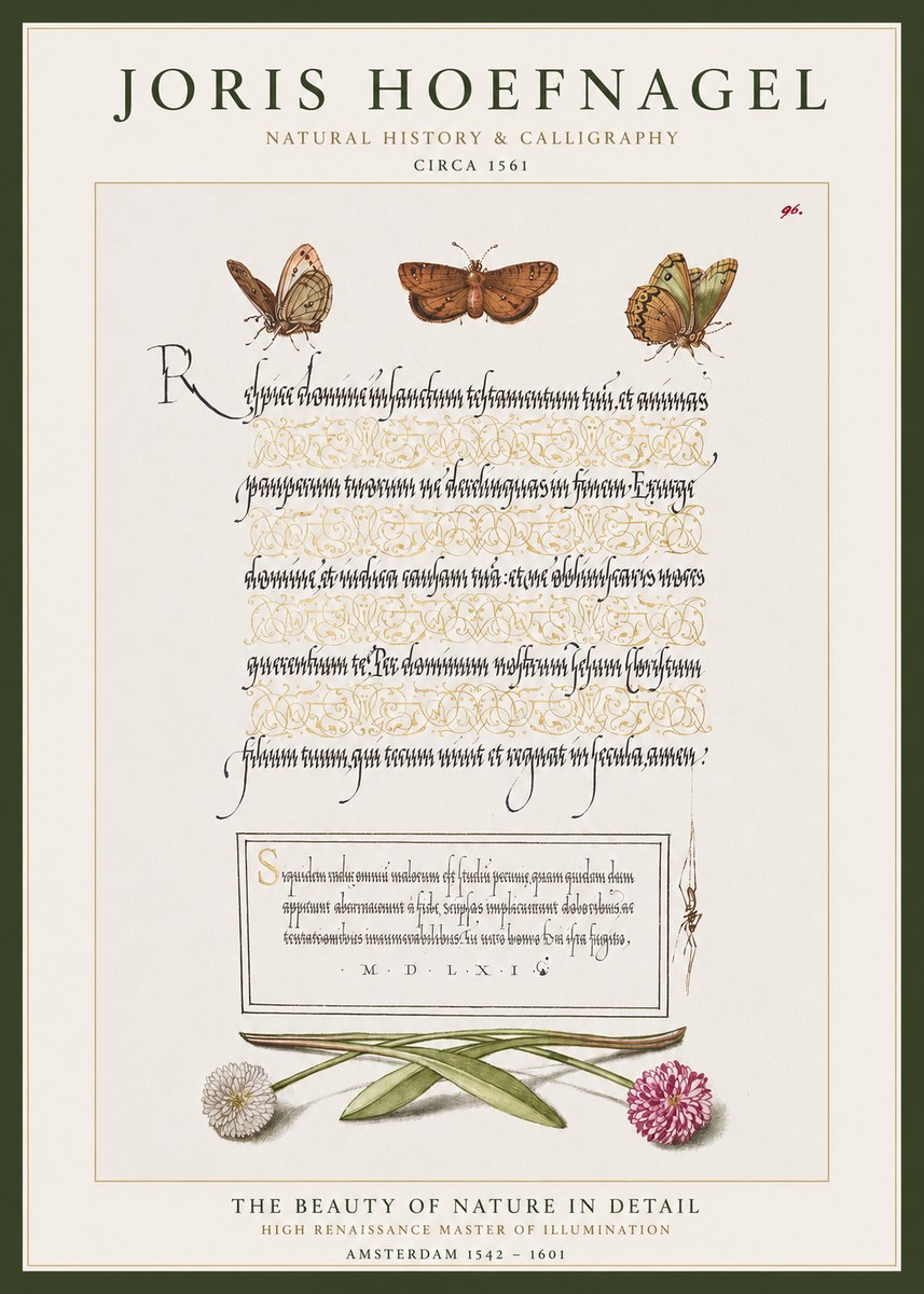 Joris Hoefnagel Butterflies, Flowers and Calligraphy Page No1 - Póster