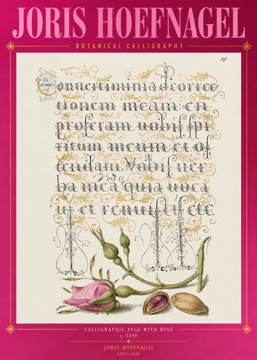 Joris Hoefnagel Calligraphic Page with Rose No2 - Póster