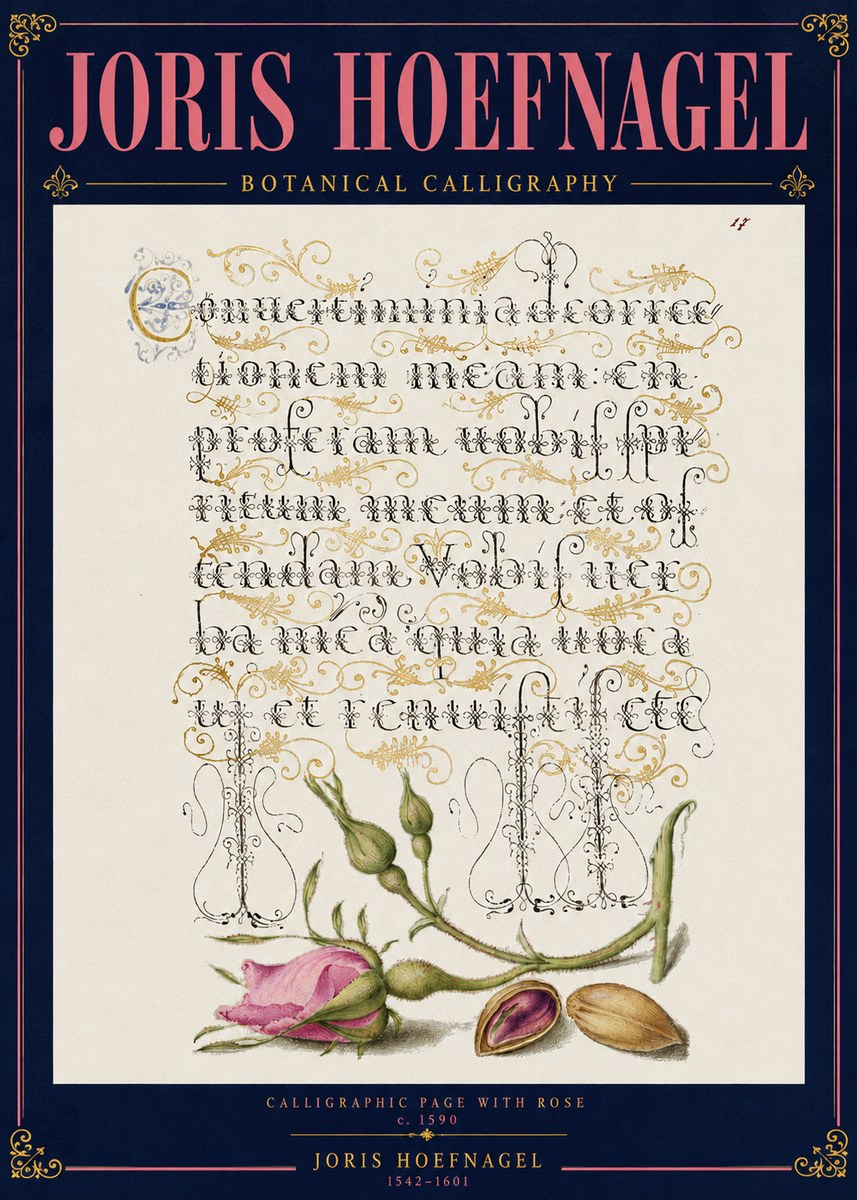 Joris Hoefnagel Calligraphic Page with Rose No4 - Póster