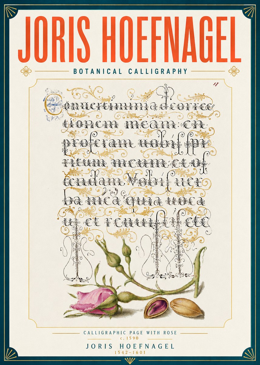Joris Hoefnagel Calligraphic Page with Rose No6 - Póster