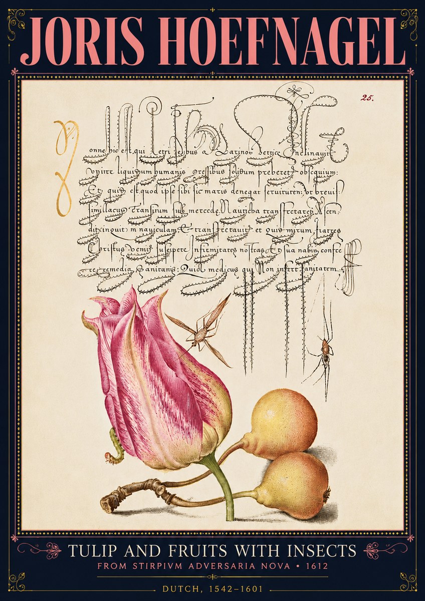 Joris Hoefnagel Tulip and Fruits with Insects No4 - Póster