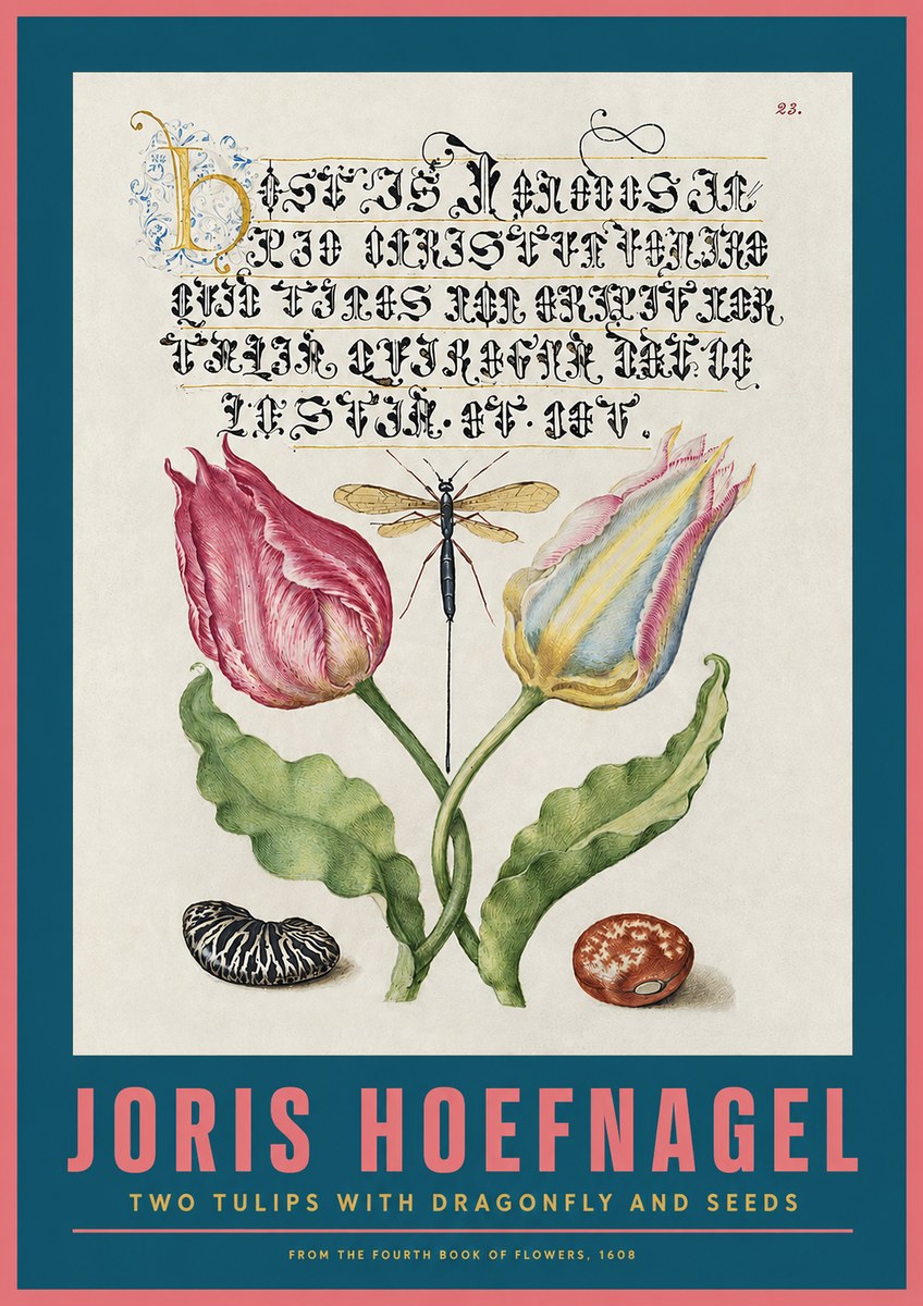 Joris Hoefnagel Two Tulips with Dragonfly and Seeds No2 - Póster