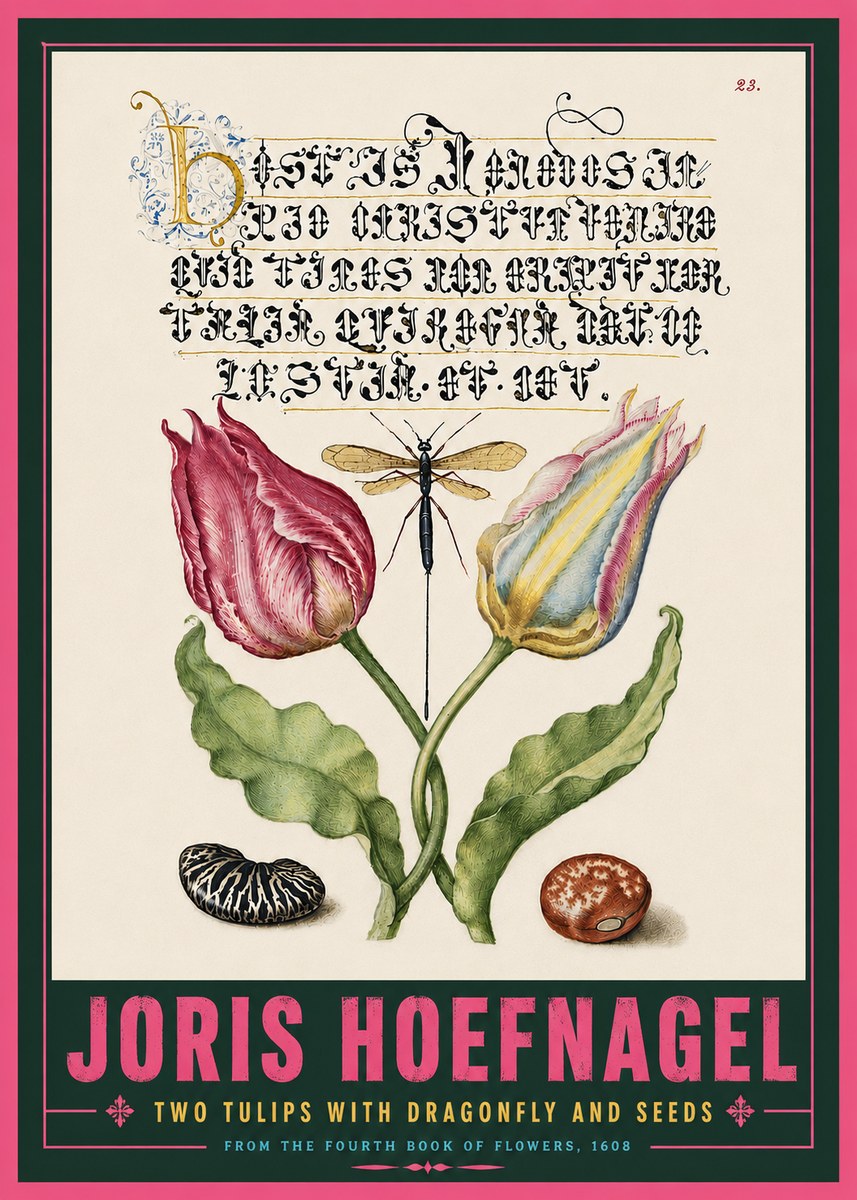 Joris Hoefnagel Two Tulips with Dragonfly and Seeds No5 - Póster