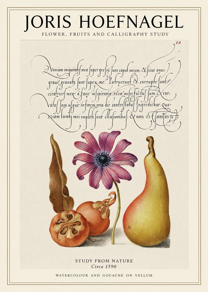 Joris Hoefnagel Study of Flower and Fruits No2 - Póster