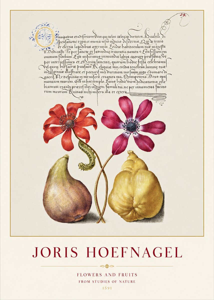 Joris Hoefnagel Flowers and Fruits No1 - Póster