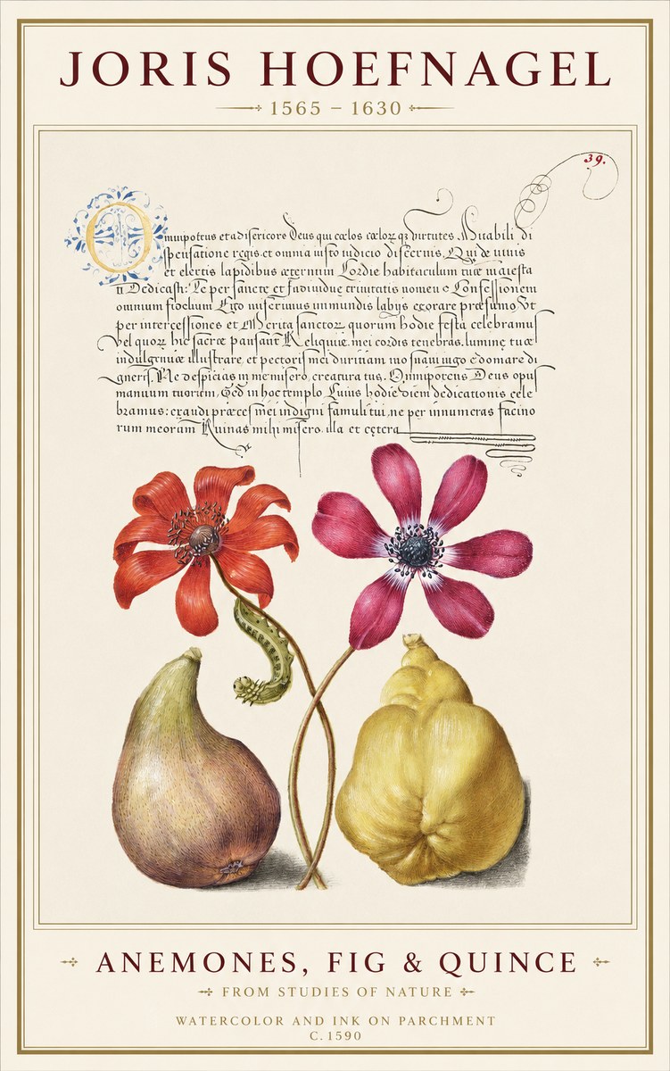 Joris Hoefnagel Flowers and Fruits No2 - Póster