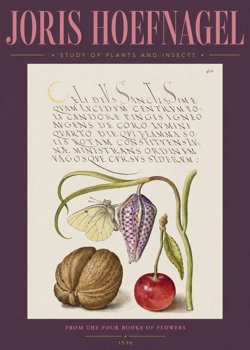 Joris Hoefnagel Study of Plants and Insects No2 - Póster