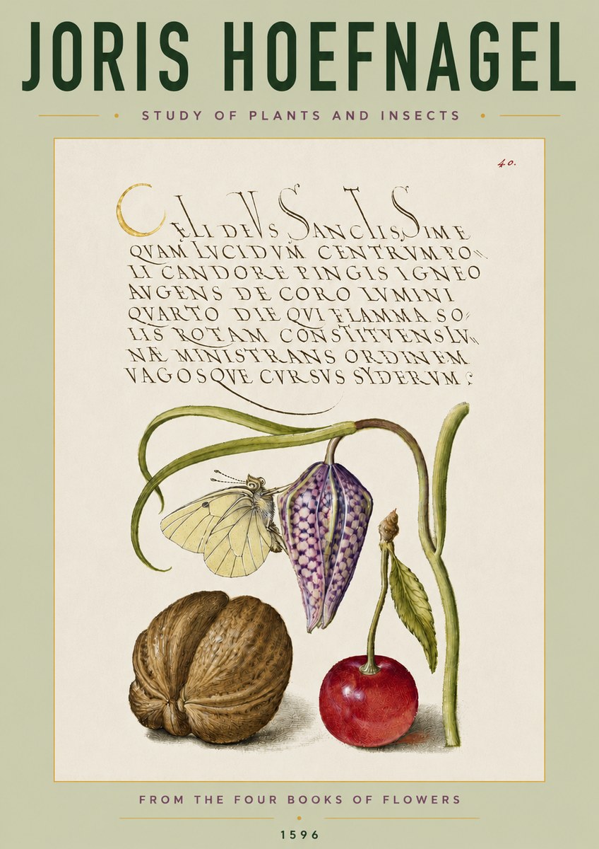 Joris Hoefnagel Study of Plants and Insects No4 - Póster