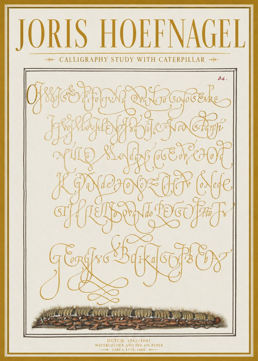 Joris Hoefnagel Calligraphy Study with Caterpillar No1 - Póster