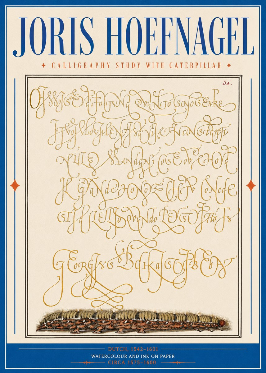 Joris Hoefnagel Calligraphy Study with Caterpillar No2 - Póster