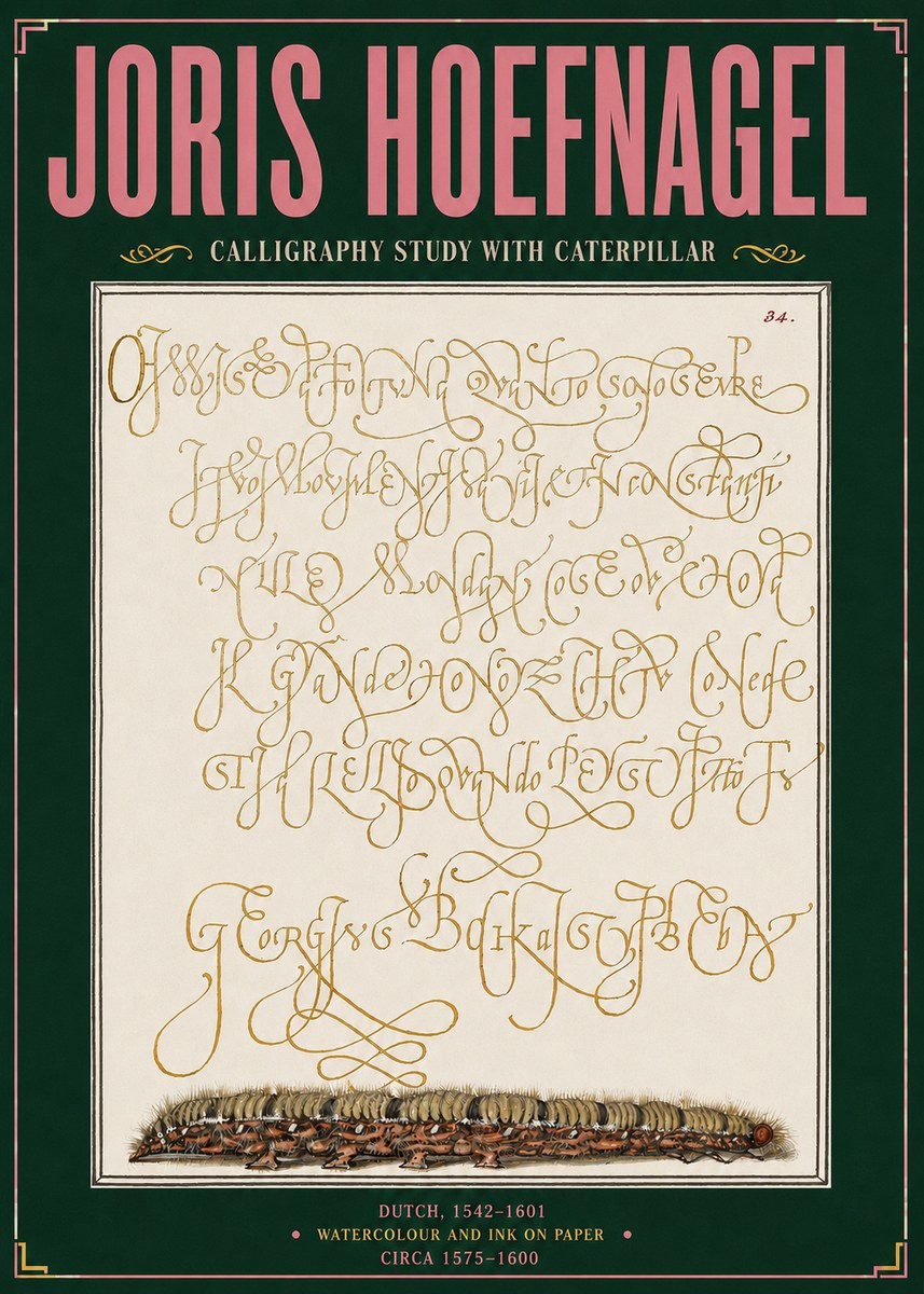 Joris Hoefnagel Calligraphy Study with Caterpillar No3 - Póster