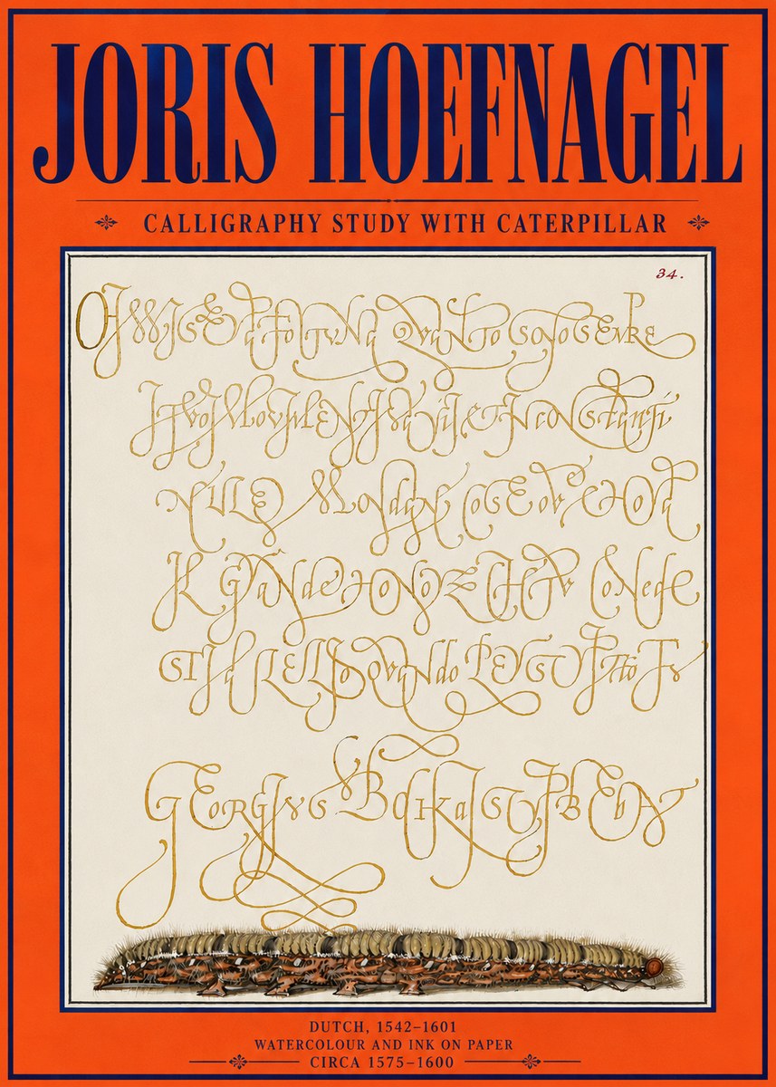 Joris Hoefnagel Calligraphy Study with Caterpillar No4 - Póster