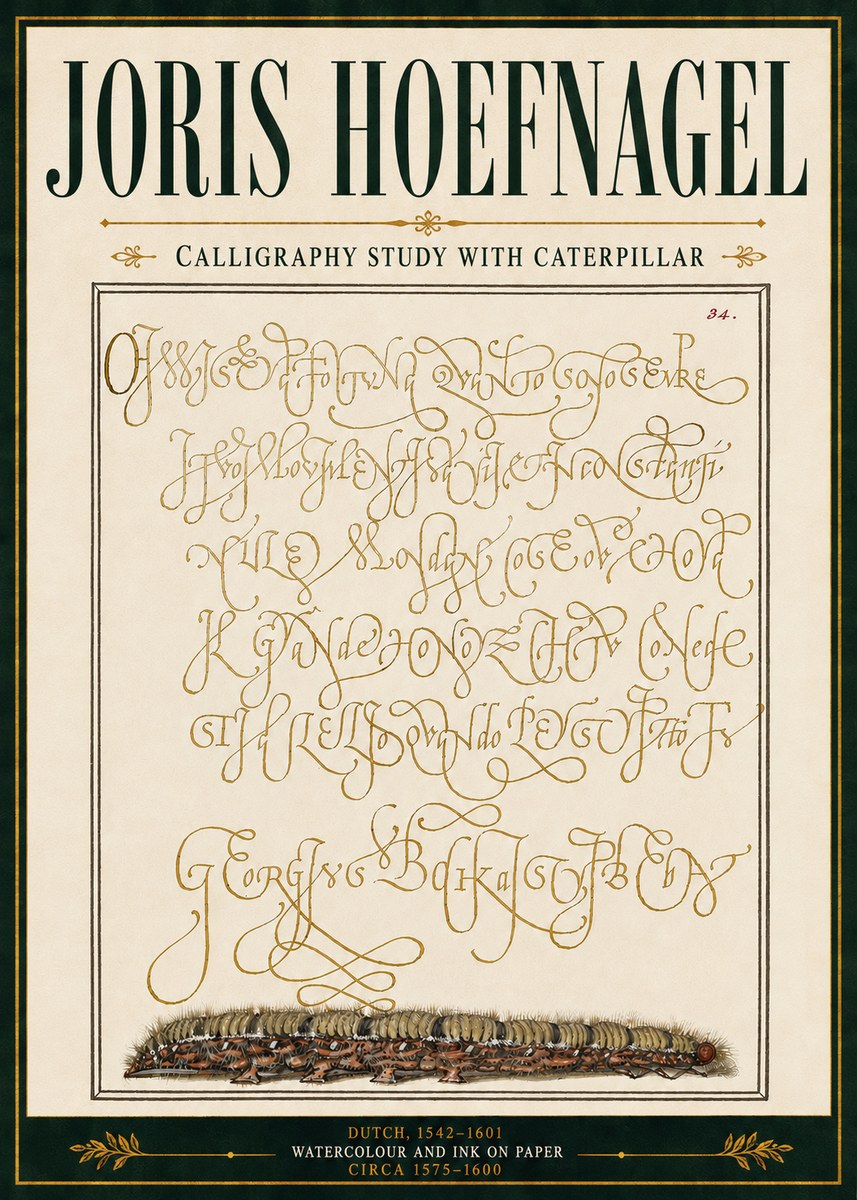 Joris Hoefnagel Calligraphy Study with Caterpillar No5 - Póster