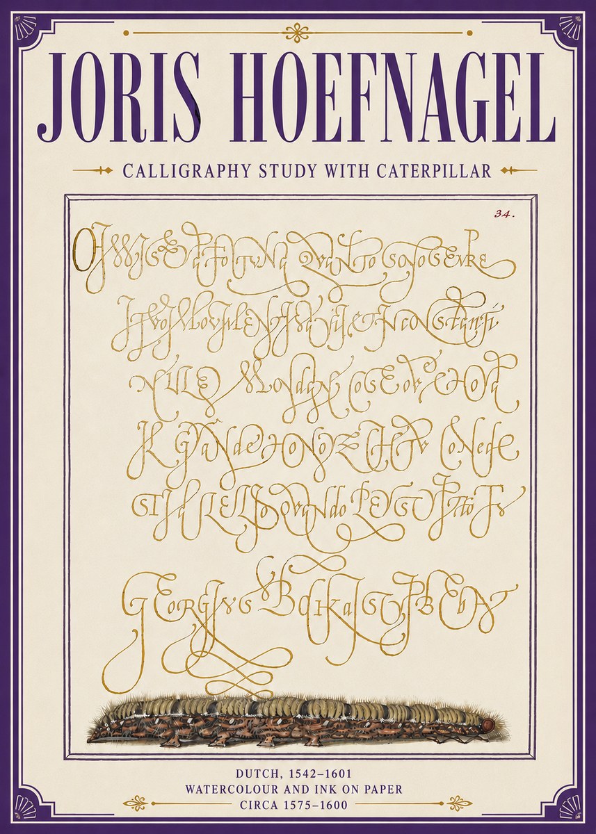 Joris Hoefnagel Calligraphy Study with Caterpillar No6 - Póster