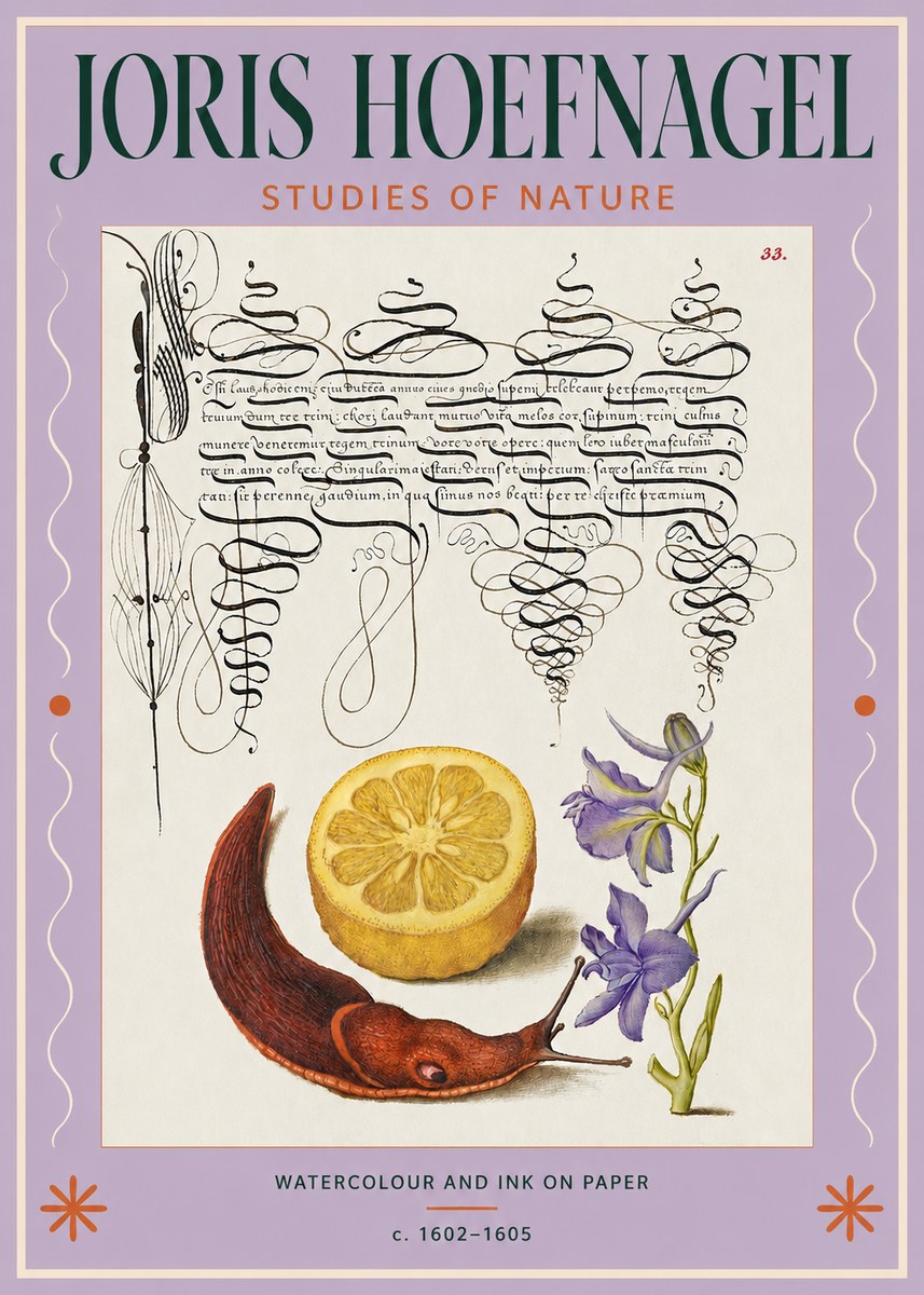 Joris Hoefnagel Studies of Nature No3 - Póster