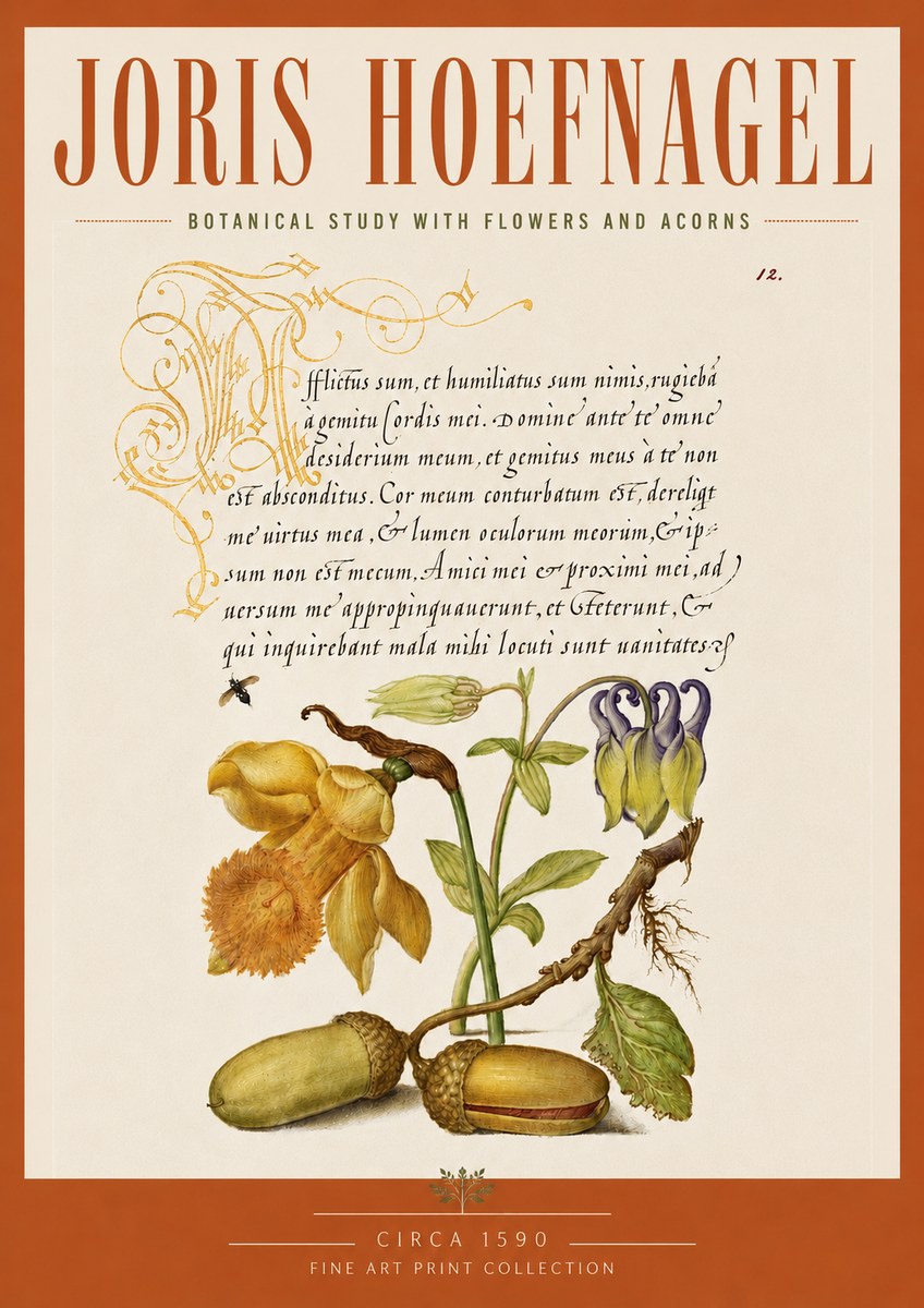 Joris Hoefnagel Illuminated Manuscript with Flowers and Acorns No5 - Póster