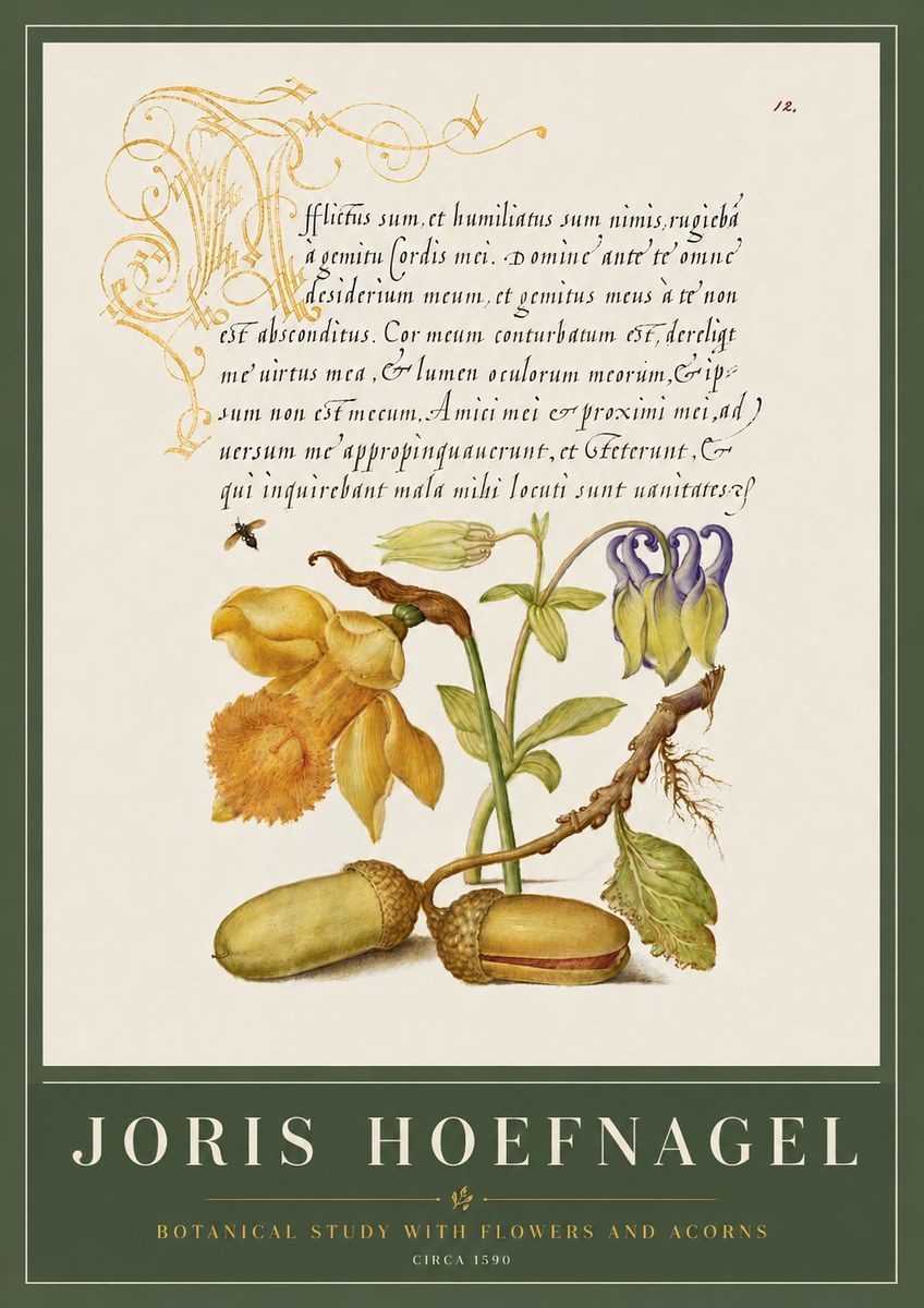 Joris Hoefnagel Illuminated Manuscript with Flowers and Acorns No6 - Póster