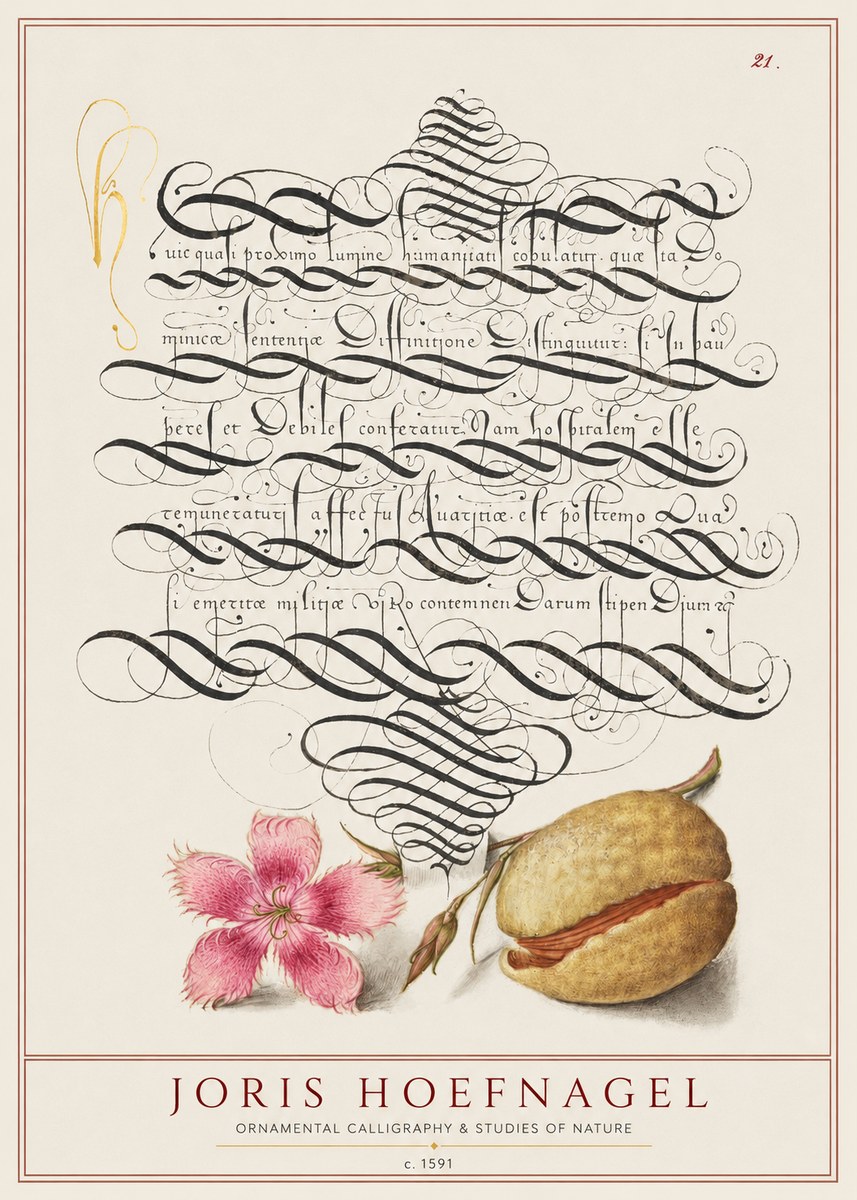 Joris Hoefnagel Ornamental Calligraphy & Studies of Nature No1 - Póster