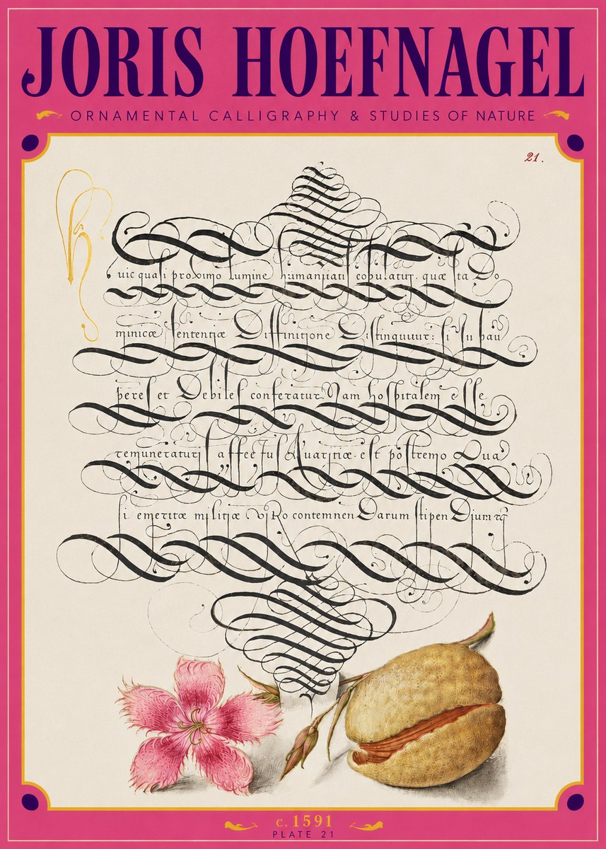 Joris Hoefnagel Ornamental Calligraphy & Studies of Nature No3 - Póster