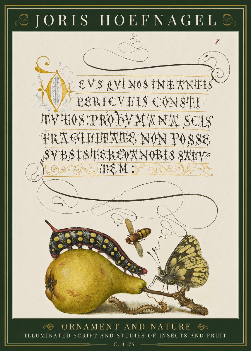 Joris Hoefnagel Ornament and Nature - Illuminated Script and Studies of Insects and Fruit No1 - Póster
