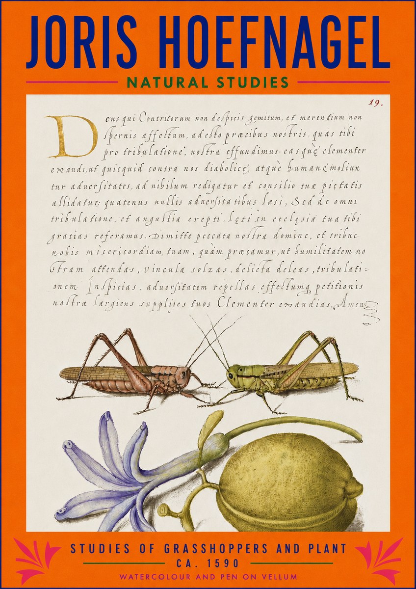 Joris Hoefnagel Studies of Grasshoppers and Plant No3 - Póster