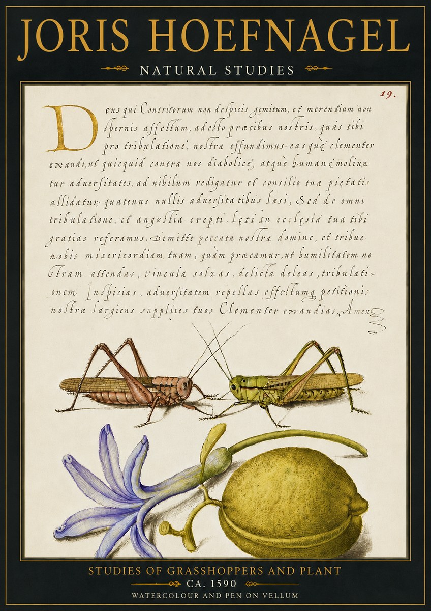 Joris Hoefnagel Studies of Grasshoppers and Plant No4 - Póster