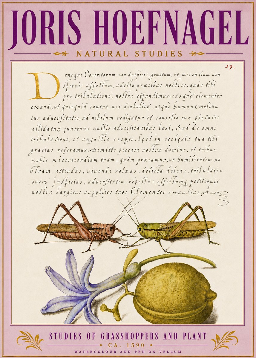 Joris Hoefnagel Studies of Grasshoppers and Plant No5 - Póster