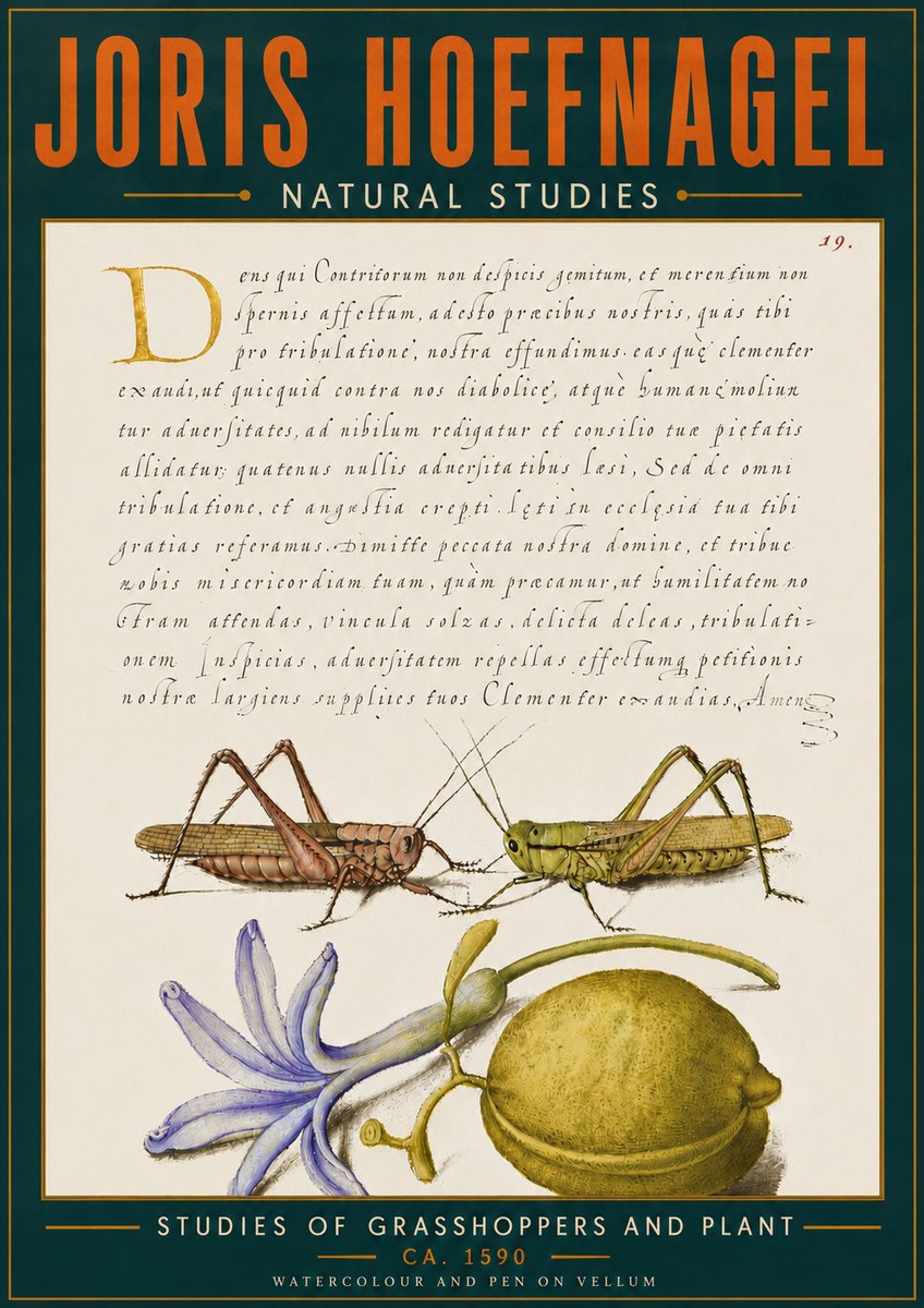 Joris Hoefnagel Studies of Grasshoppers and Plant No6 - Póster