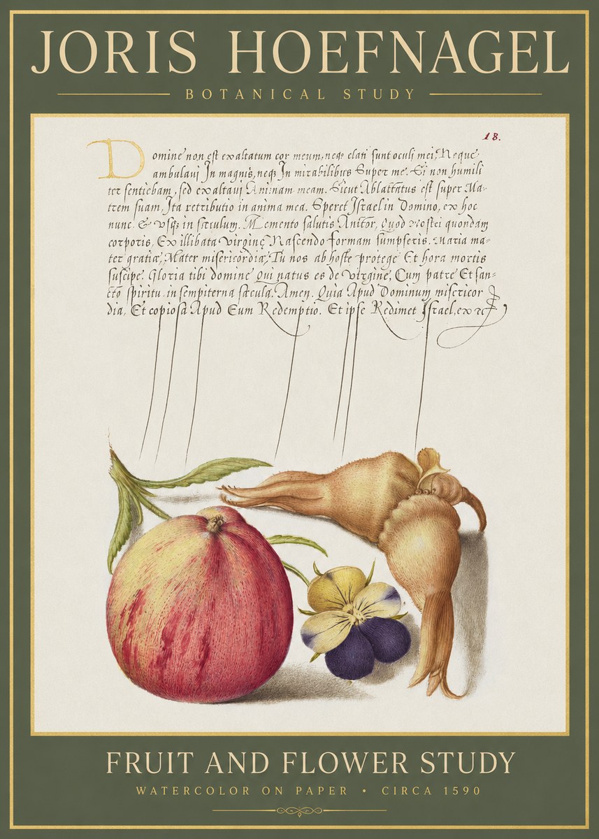 Joris Hoefnagel Fruit and Flower Study No1 - Póster
