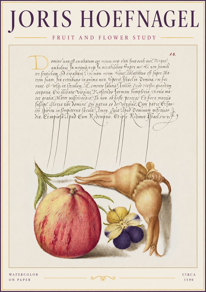 Joris Hoefnagel Fruit and Flower Study No2 - Póster