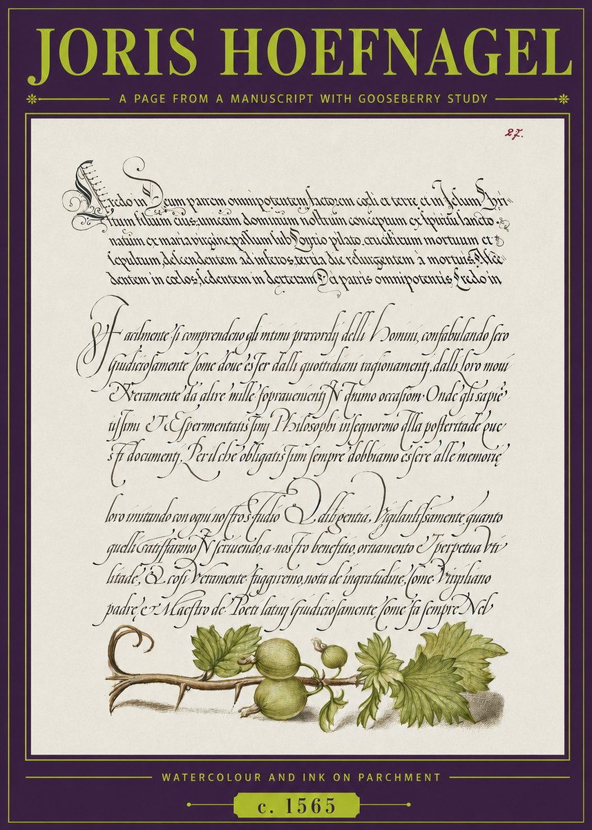 Joris Hoefnagel A Page from a Manuscript with Gooseberry Study No3 - Póster