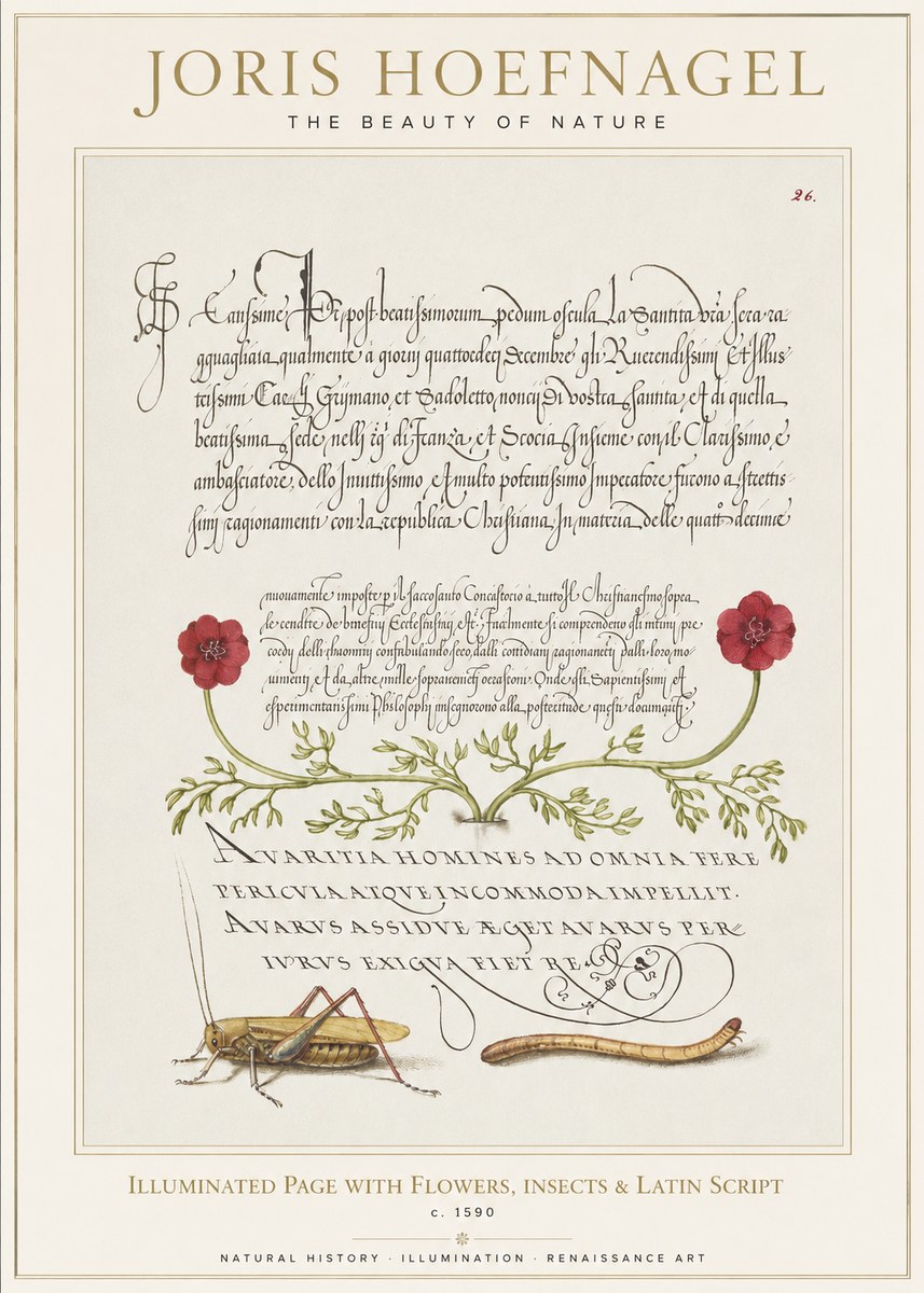 Joris Hoefnagel Illuminated Page with Flowers, Insects & Latin Script No1 - Póster