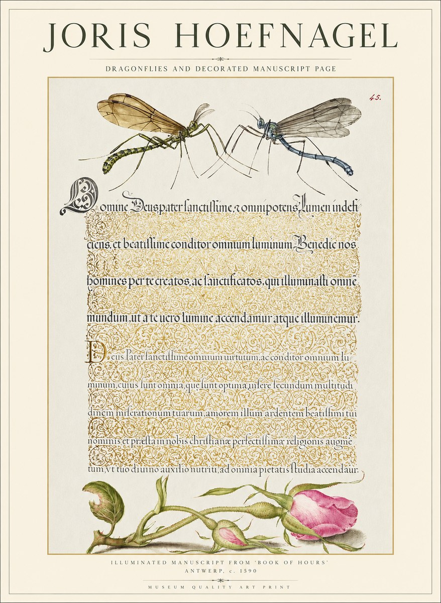 Joris Hoefnagel Dragonflies and Decorated Manuscript Page No1 - Póster