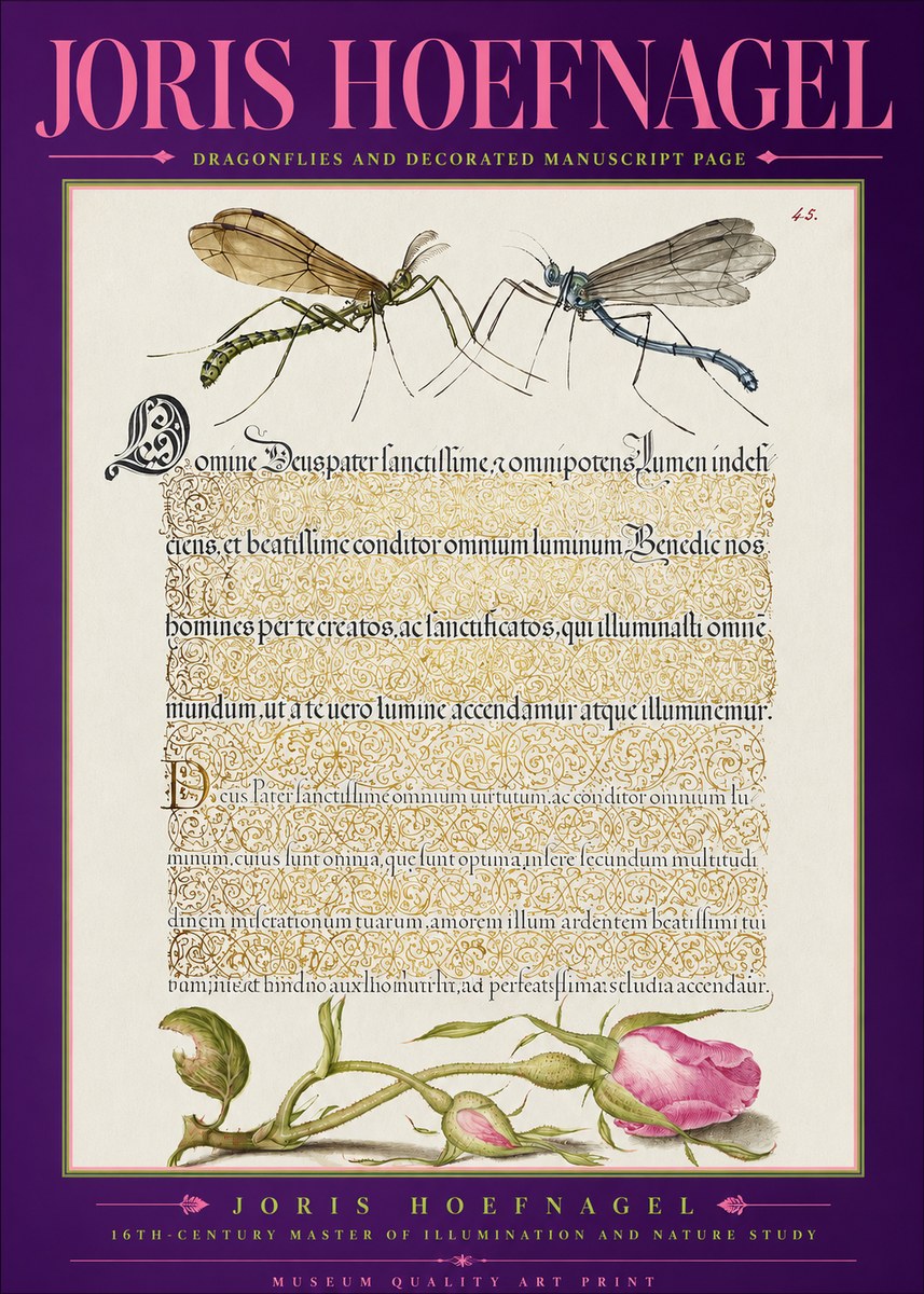 Joris Hoefnagel Dragonflies and Decorated Manuscript Page No2 - Póster