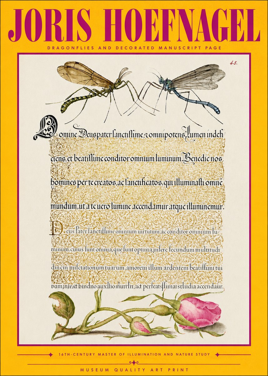Joris Hoefnagel Dragonflies and Decorated Manuscript Page No4 - Póster