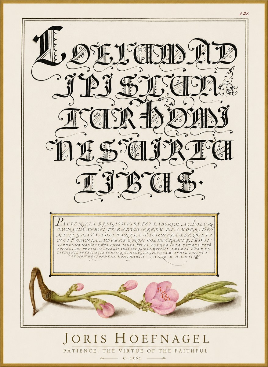 Joris Hoefnagel Calligraphic Alphabet from a Book of Lettering No3 - Póster