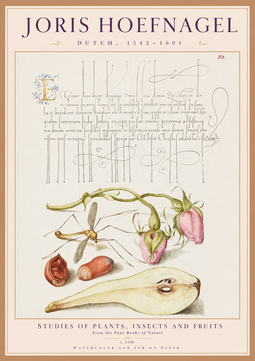 Joris Hoefnagel Studies of Plants, Insects and Fruits No1 - Póster