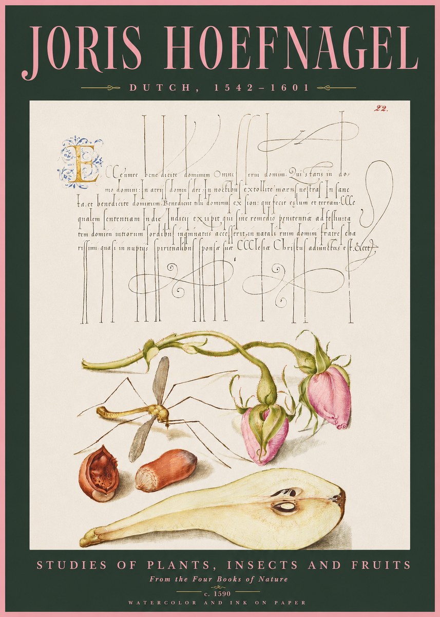 Joris Hoefnagel Studies of Plants, Insects and Fruits No2 - Póster
