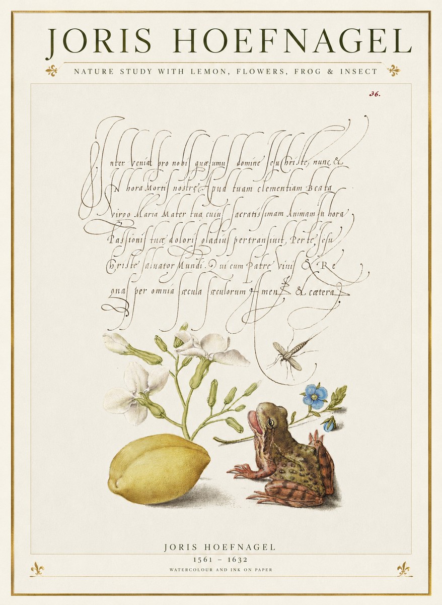 Joris Hoefnagel Nature Study with Lemon, Flowers, Frog & Insect No1 - Póster
