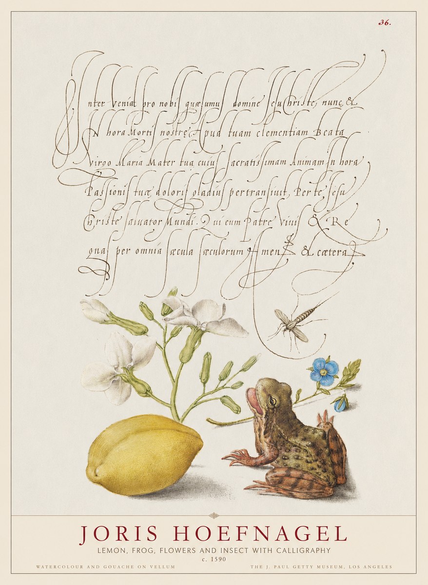 Joris Hoefnagel Nature Study with Lemon, Flowers, Frog & Insect No2 - Póster