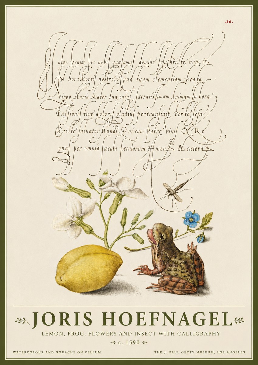 Joris Hoefnagel Nature Study with Lemon, Flowers, Frog & Insect No4 - Póster