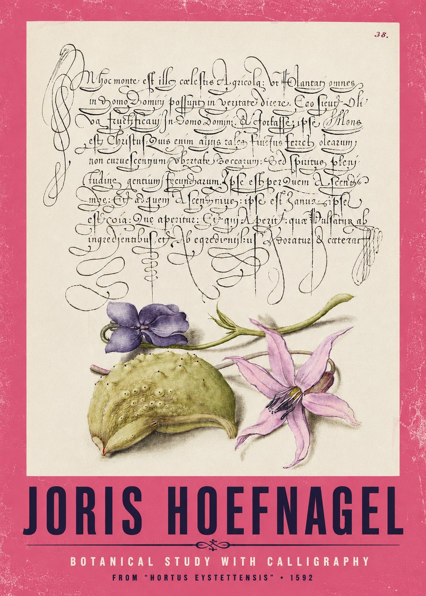 Joris Hoefnagel Botanical Study with Calligraphy I No2 - Póster