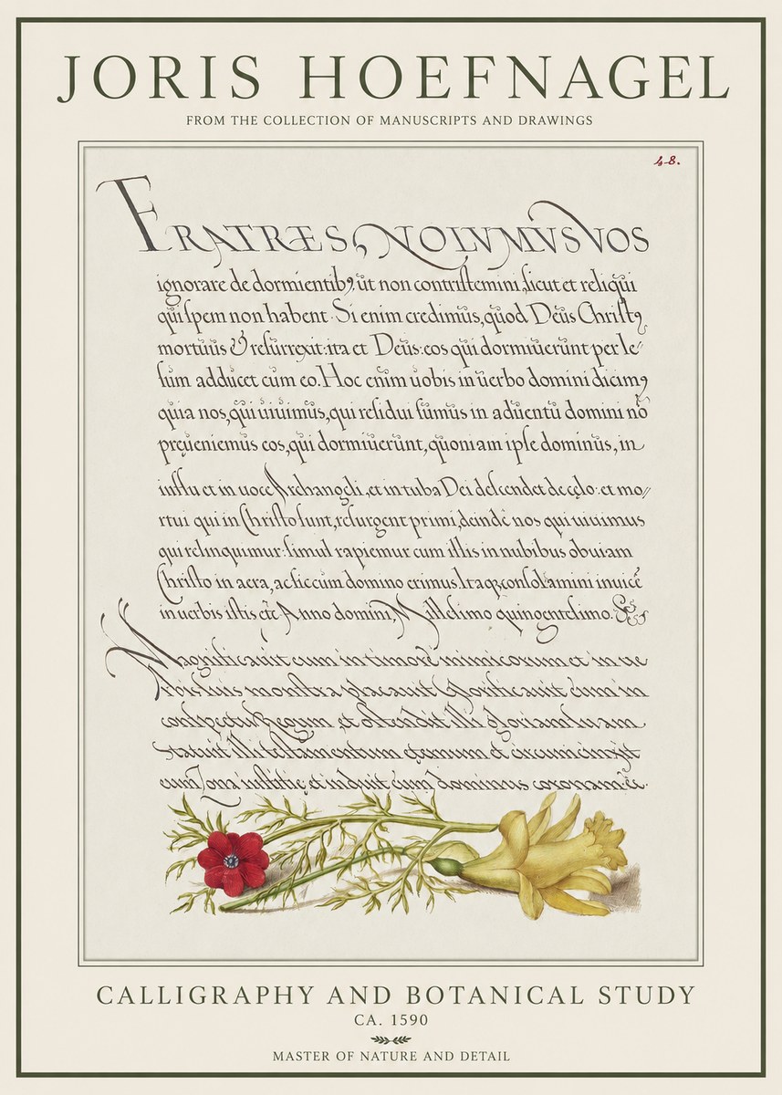 Joris Hoefnagel Calligraphy and Botanical Study I No1 - Póster