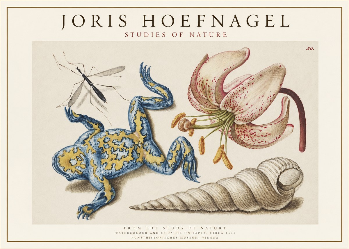 Joris Hoefnagel From the Study of Nature No1 - Póster